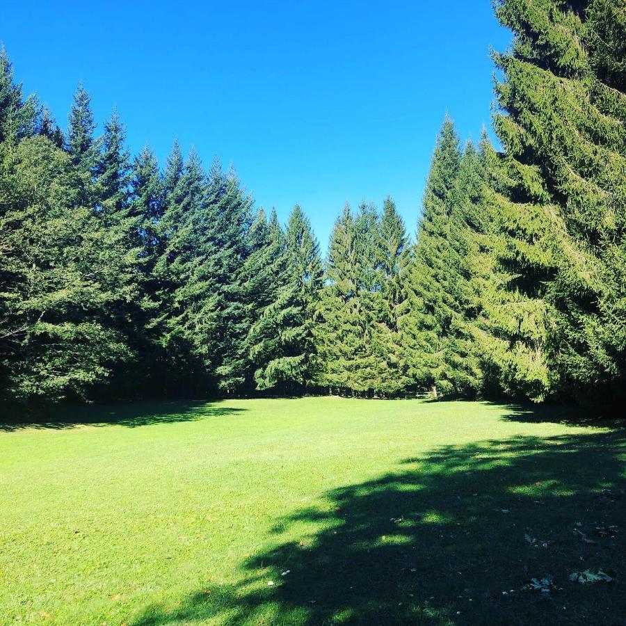 Agriturismo La Casa Nel Bosco Villa Boveglio Bagian luar foto